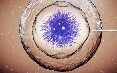 宫寒表示对社会变化和变革的无力感